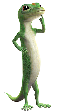 gecko